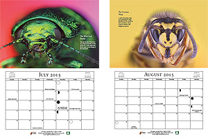 Insect Macro Calendar - July & August