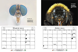 Extreme Macro Calendar - March & April