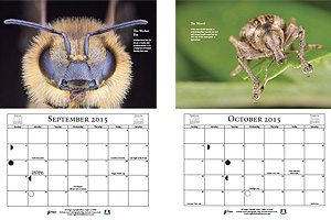 Macro Calendar 2015 - September & October