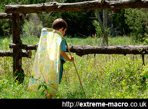 collecting macro specimens to stack in the studio