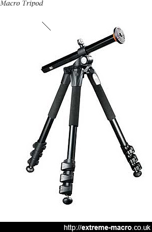 Extreme macro tripod