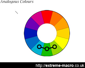 Analogous colours