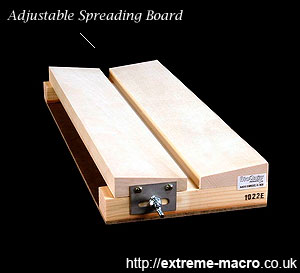 Insect Spreading Board