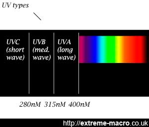 The ultraviolet spectrum